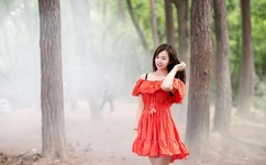 李宗瑞视频下载